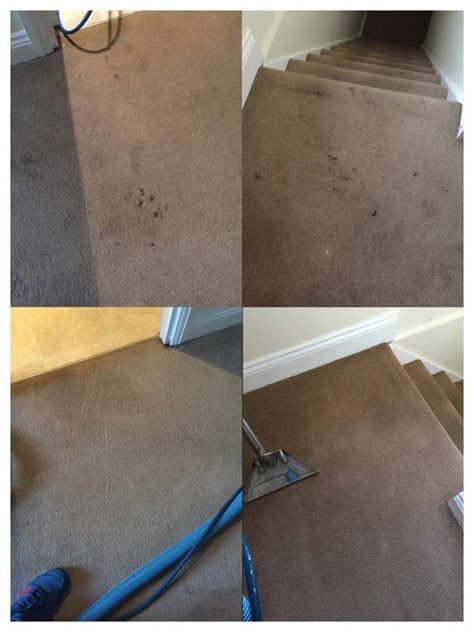 carpet cleaning tunbridge